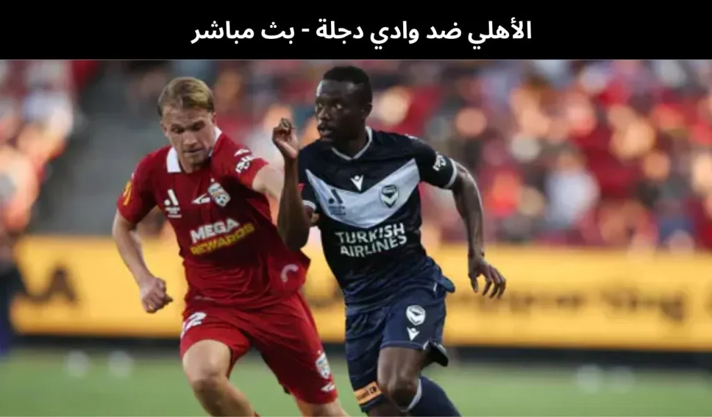 الأهلي ضد وادي دجلة - بث مباشر | 27 يناير 2026 2 الأهلي ضد وادي دجلة