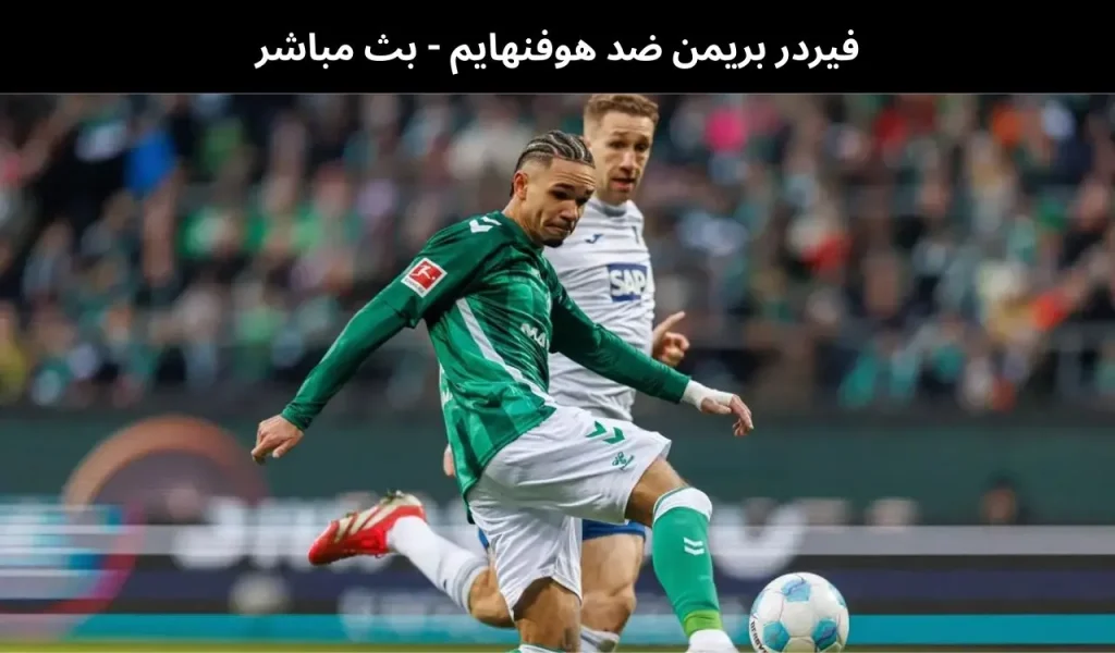 فيردر بريمن ضد هوفنهايم 