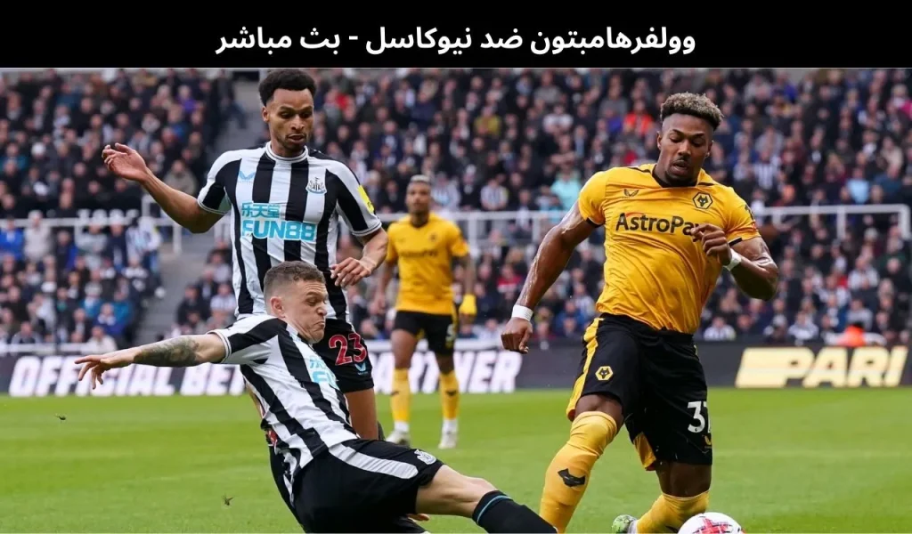 وولفرهامبتون ضد نيوكاسل - بث مباشر | 18 يناير 2026 2 وولفرهامبتون ضد نيوكاسل