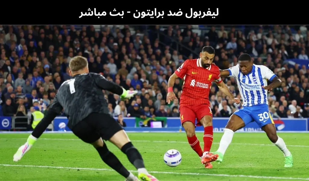 ليفربول ضد برايتون